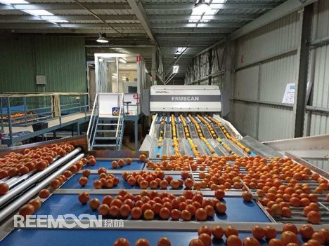 2023年4月，绿萌在澳大利亚完成了一个大型柑橘分选项目，为Mario位于新南威尔士州格里菲斯市的包装厂交付了一台新的六通道分级机，绿萌海外营销副总Dennis，身临现场测试该项目。Mario's Packhouse是该地区领先的柑橘包装企业之一。该公司专注于柑橘类水果的种植和商品化包装，如脐橙、血橙、巴伦西亚橙、葡萄柚和