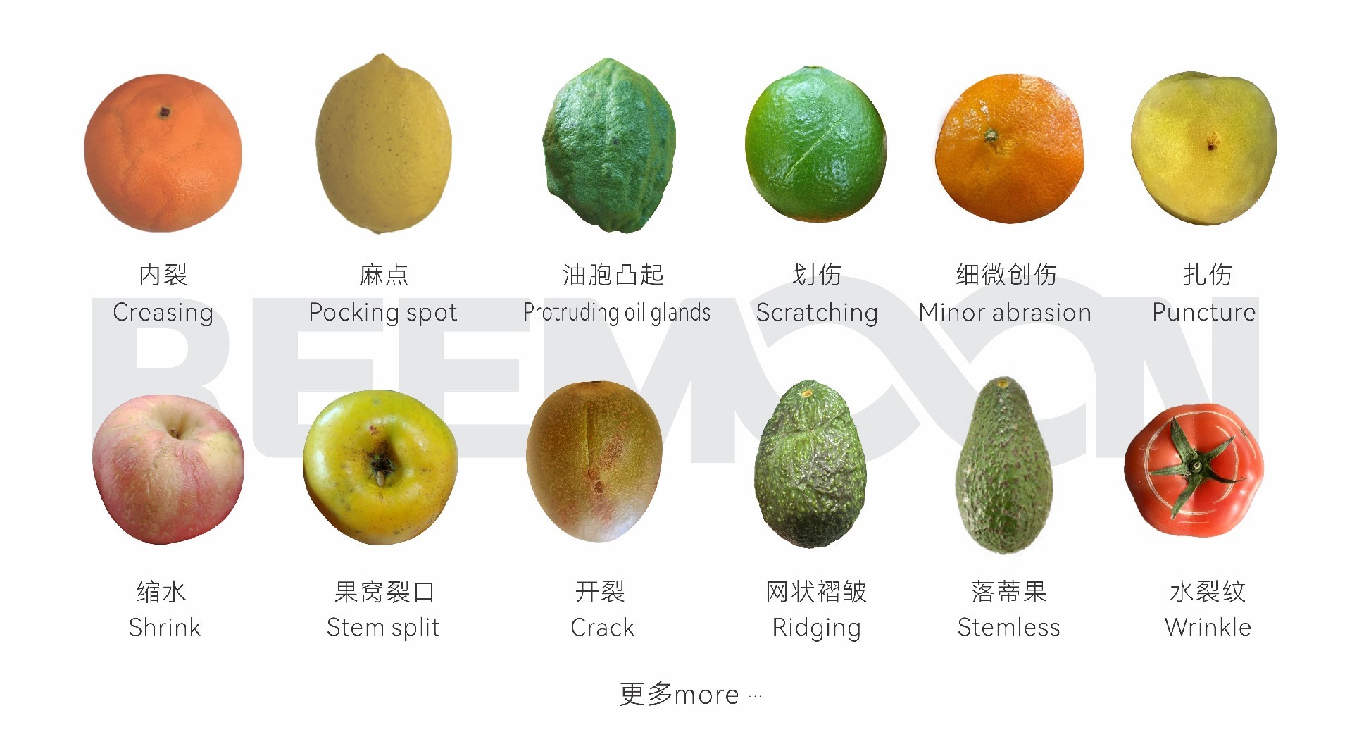 微信图片_20250903174234 - 副本.jpg