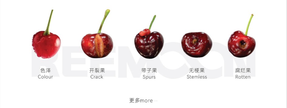 车厘子瑕疵.jpg