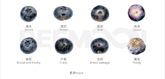 蓝莓瑕疵.jpg