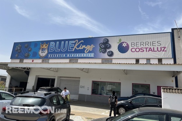 Reemoon Technology Holdings Co., Ltd. ha completado recientemente la instalación de una línea multifuncional de clasificación de arándanos de cuatro canales en Lepe, Huelva, que entró oficialmente en funcionamiento en febrero de 2025. Esta línea, diseñada específicamente para la clasificació