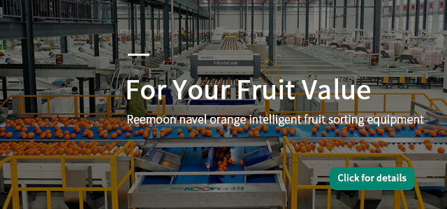 Adding value to your fruit by sort both internal and external quality